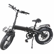 Fat Tire Portable Folding E-Bike with 350W Brushless Motor